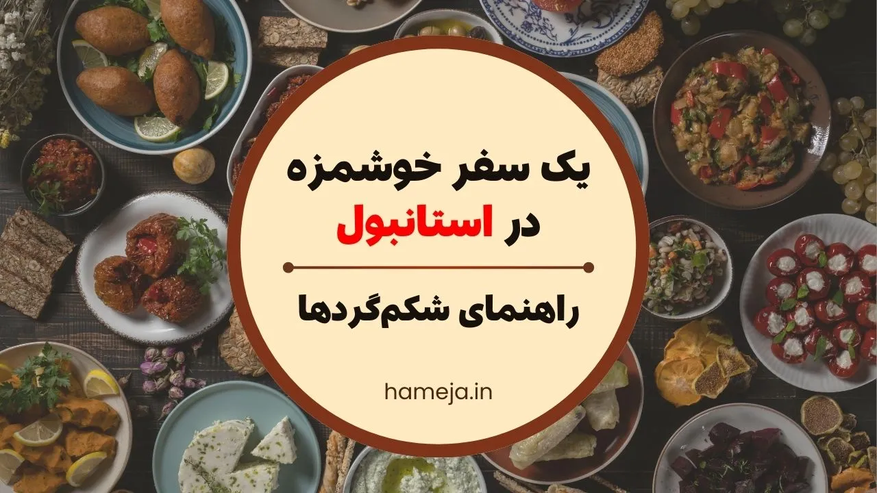 شکم گردی در استانبول